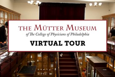 May 5 2020: The Mütter Museum releases a new virtual walkthrough